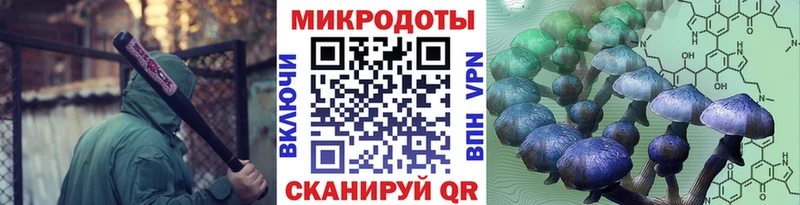 Купить где  Лагань  Псилоцибиновые грибы Psilocybine cubensis 
